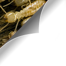 AAA Termite Infestation!