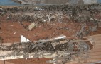 Swarmingtermites
