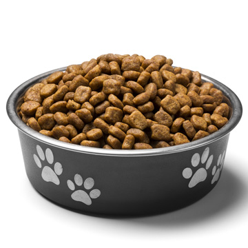 Your Pet's Food Could be a Magnet for Rodents | Memphis TN